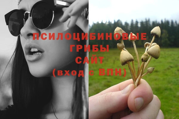 тгк Алексеевка