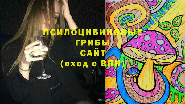 скорость Пересвет