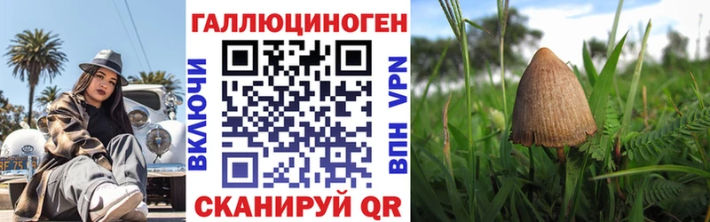 KRAKEN ссылка  Баймак  Псилоцибиновые грибы Psilocybe  цены  